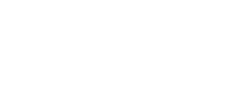 Dutchvanparts Logo