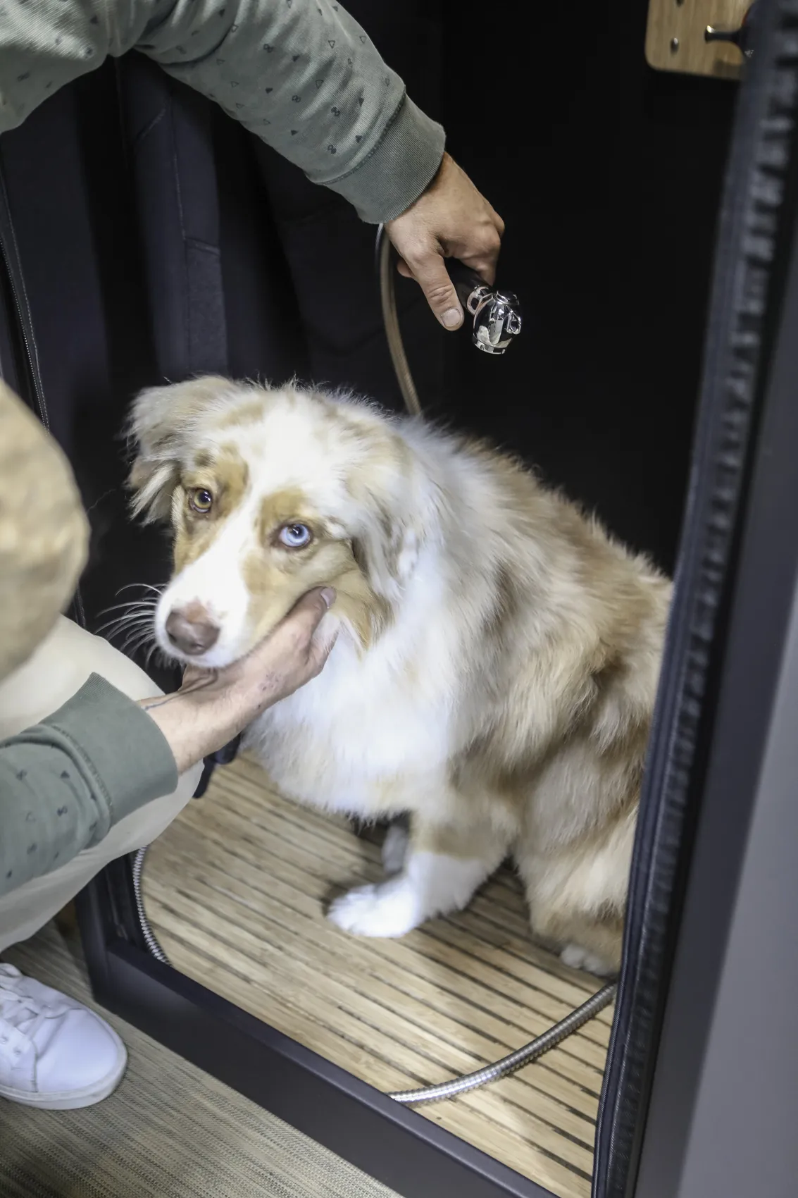 Solo Cabine de douche 800 – Image 3